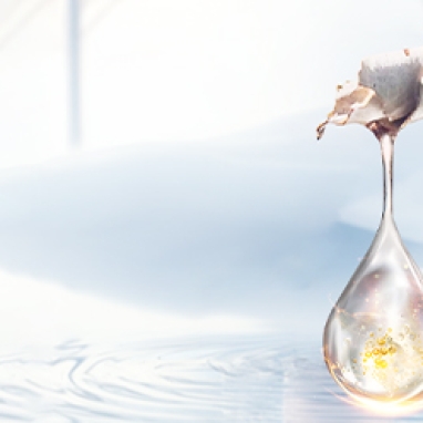 Savourez le printemps : les doux secrets de la sève de bouleau